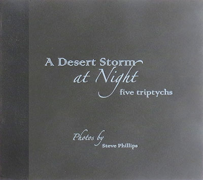 desert storm book cover